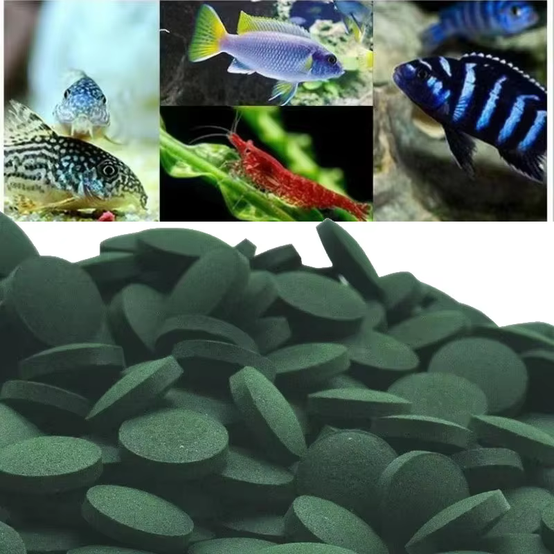 50/100/300/500 pçs comprimidos de spirulina espiral algas concentrado favorito comida para animais de estimação peixe cristal vermelho camarão peixe comida aquário