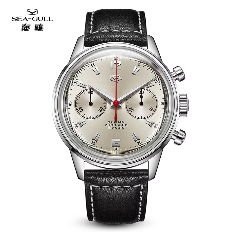 Seagull Pays Tribute to D304 Men's Luxury Hand Winding ST19 Movement Watch Sapphire Glass Wristwatch New 2024 819.17.D304
