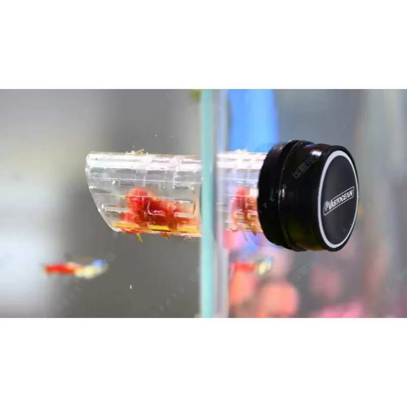 Vastoceoceano-copo alimentador de minhoca vermelha, alimentador de ponto fixo de nematodo, alimentação automática de secagem