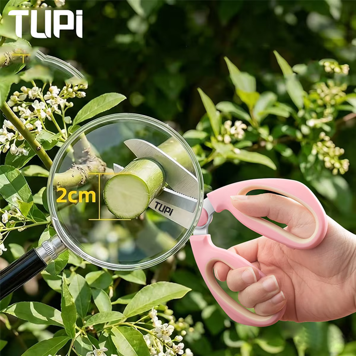 Florist Scissors for Flower Arrangement, Pruning Shears Garden Scissors for Flowers, Plant Cutting, Floral Arrangement Tools
