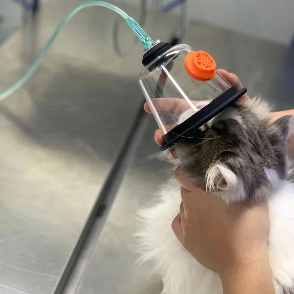 NO.1-NO.5 Kit de máscara de oxigênio para cães e gatos, máscara atomizadora de inalação de oxigênio para animais, suprimentos clínicos, sala de cuidados com animais de estimação