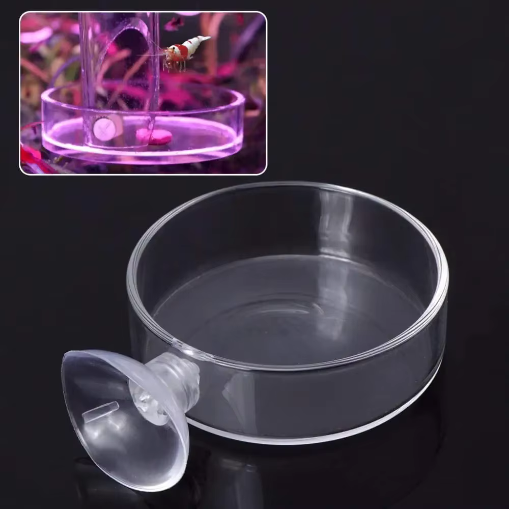 Fish Tank Feeder Aquarium Shrimp Glass Feeding Bowl Clear Dish Tray Container Feeders Aquarium Round  Square Fish Shrimp Feeding