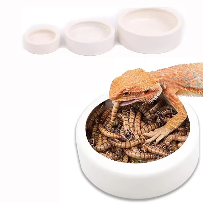 Bol de nourriture d'eau pour Reptile, plat d'alimentation en céramique Anti-fuite pour lézard ermite Gecko caméléon maïs serpent barbu Dragon accessoires