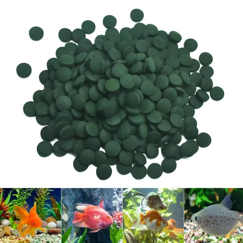 Comprimés de spiruline de haute pureté, concentré d'algues spirales, nourriture préférée pour animaux de compagnie, poissons, crevettes, nourriture pour poissons, aquarium, 50 à 400 pièces