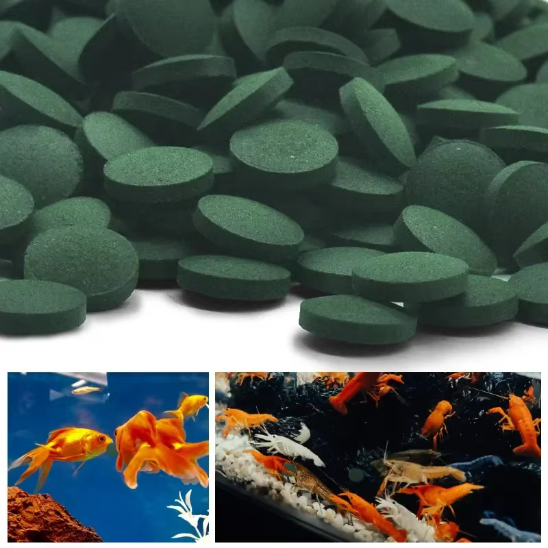 100-2500 comprimés de spiruline haute pureté, enrichissement en algues spirales, nourriture préférée pour animaux de compagnie, nourriture pour poissons, crevettes rouges cristallines, nourriture pour