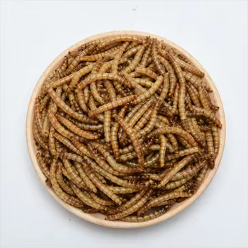 Fish Food Dried Mealworms 100%Pure Natural Bulk Wholesale Nirds Fish Small Pet Food