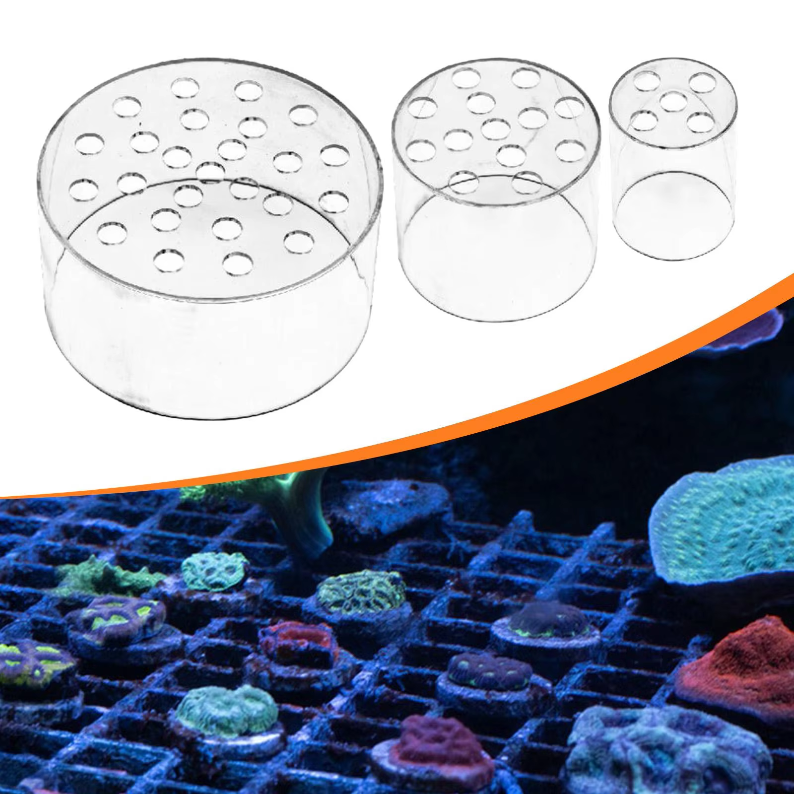 Capa multifuncional para alimentador de coral acrílico com design transparente, protetora