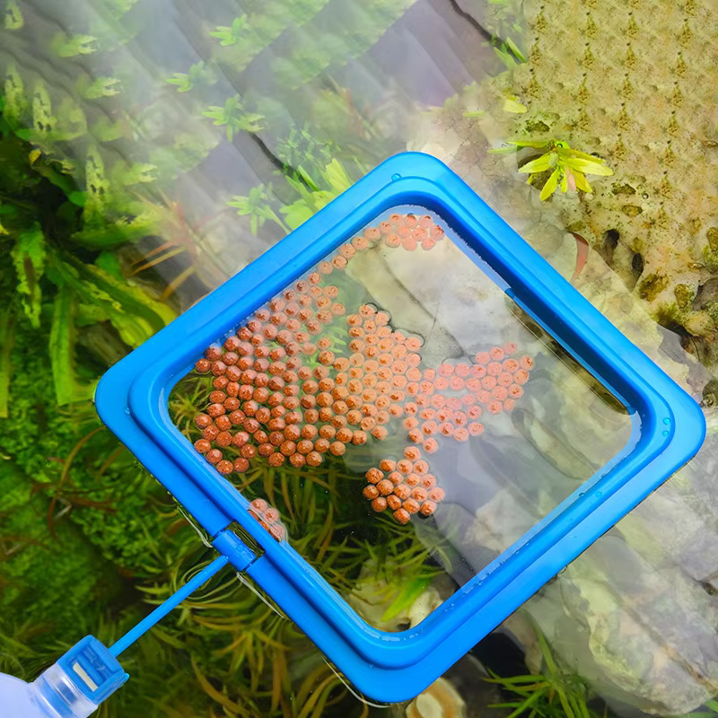 Anel flutuante para alimentador de alimentos para peixes - Estação de aquário circular quadrado com ventosa, dispensador de alimentos fácil, design que economiza espaço