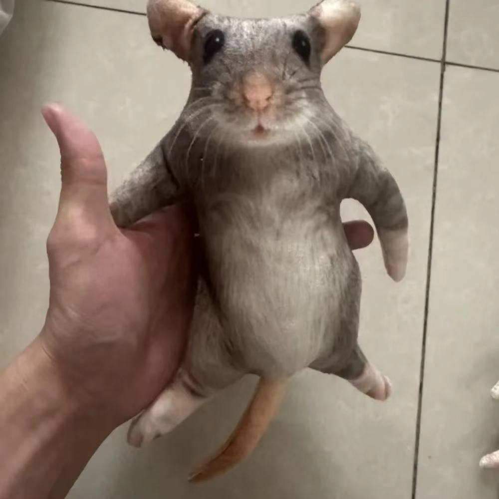 Muñeco de Peluche Creativo de Ratón Simulado de 12/24cm, Figura de Animal Kawaii Suave con Esqueleto Incorporado, Regalo de Cumpleaños para Niños