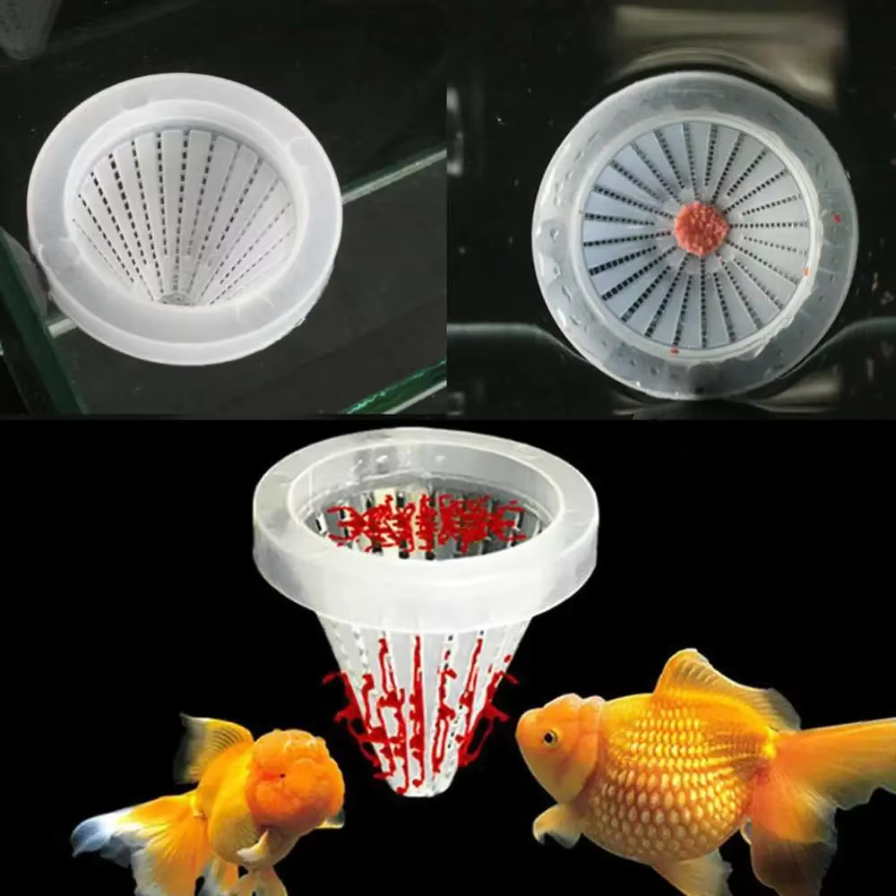 Mini mangeoire automatique pour poissons, Aquarium conique, ver rouge, tasse d'entonnoir, outil d'alimentation pour poissons avec ventouse