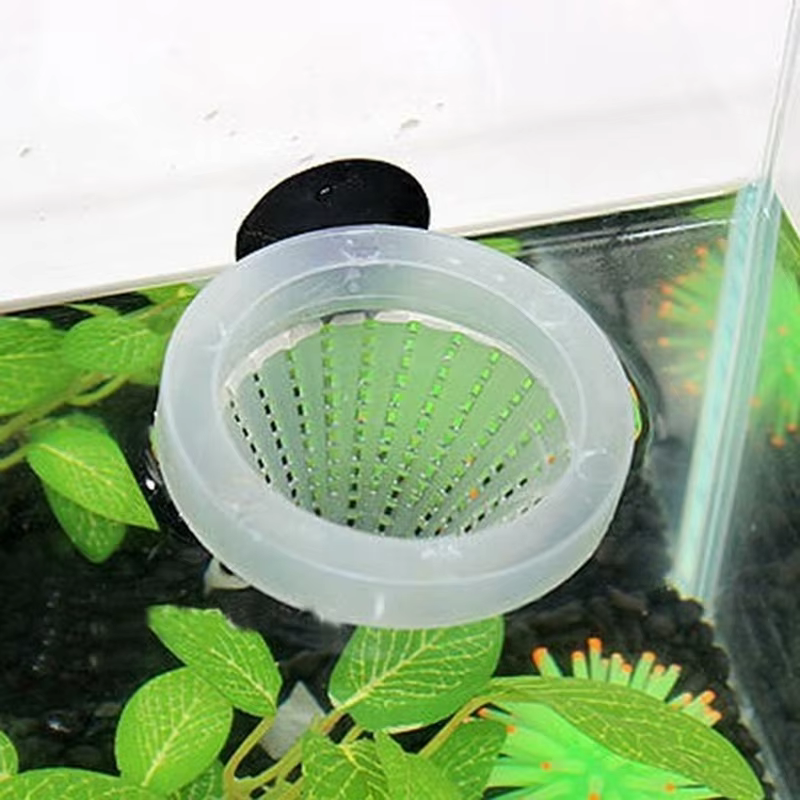 Cône de ver rouge pour Aquarium, alimentation en saumure glacée vivante, crevettes, nourriture pour poissons